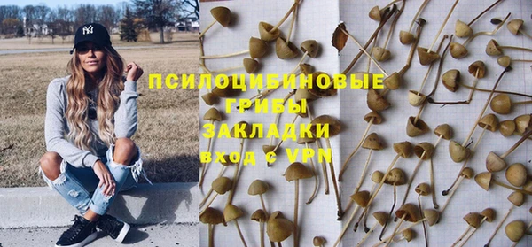 каннабис Арсеньев