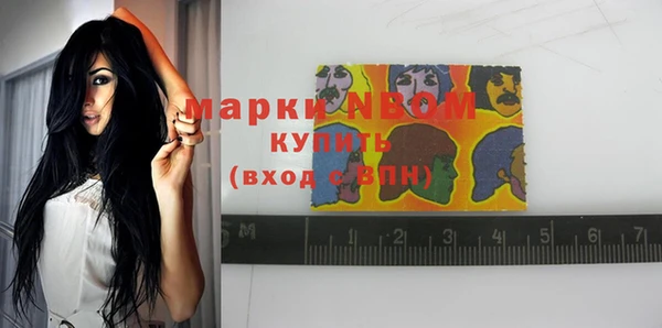 гашик Аркадак