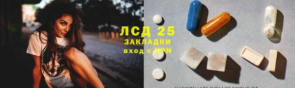 гашик Аркадак