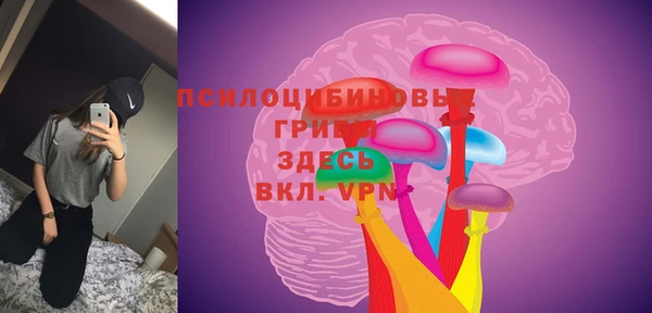 крисы Балахна