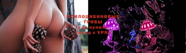гашик Аркадак