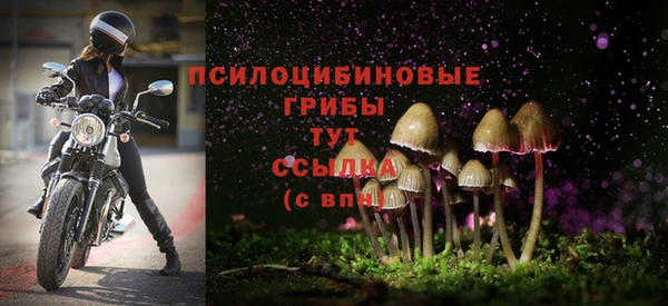 каннабис Арсеньев