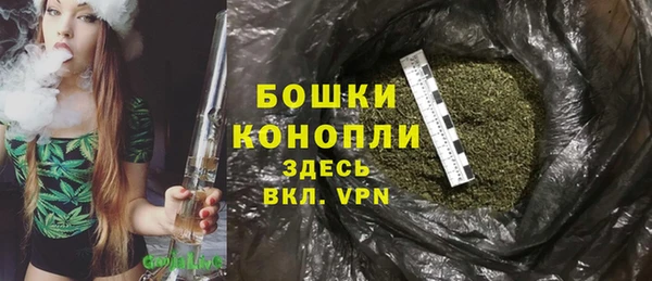 гашик Аркадак