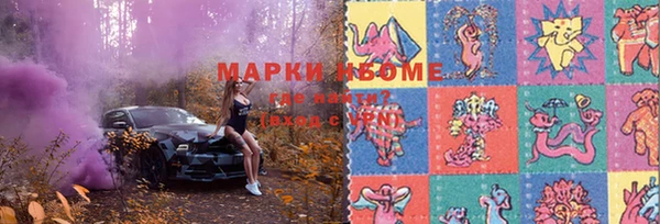 гашик Аркадак