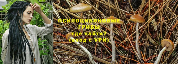 каннабис Арсеньев